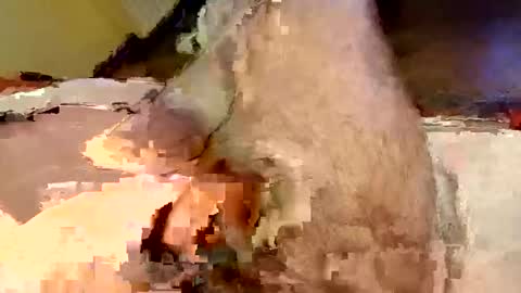 mako998843 online show from 15, 2, 2026