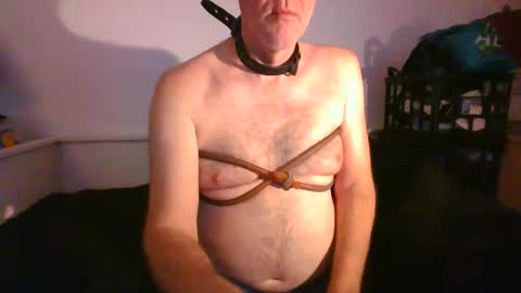 CommandbondageNipples bondage kink submissive lovense slave wgear. modequiethvyBondage If Password goldfish online show from 29, 1, 2025