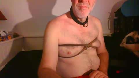 CommandbondageNipples bondage kink submissive lovense slave wgear. modequiethvyBondage If Password goldfish online show from 16, 2, 2025