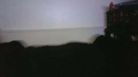 CommandbondageNipples bondage kink submissive lovense slave wgear. modequiethvyBondage If Password goldfish online show from 26, 2, 2026