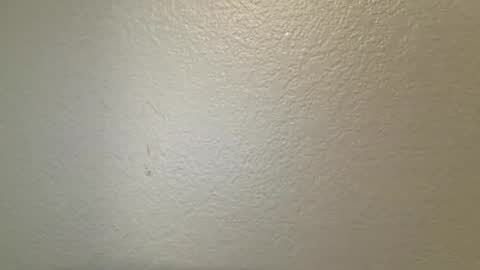 mamiilatina2500 online show from 24, 3, 2026