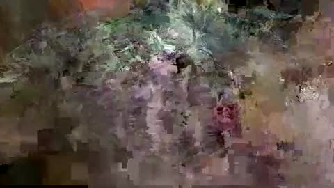 Mancok online show from 13, 3, 2026