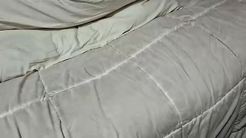 Snapshot of manlymanson chatting on 17, 11, 2025 Dickinabox online show from 17, 11, 2025