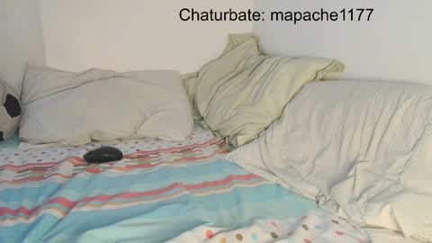 Snapshot of mapache1177 chatting on 21, 5, 2026 mapache1177 online show from 21, 5, 2026