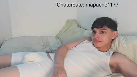 Snapshot of mapache1177 chatting on 23, 5, 2026 mapache1177 online show from 23, 5, 2026