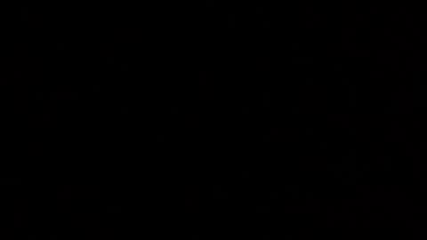 Elle online show from 25, 10, 2025