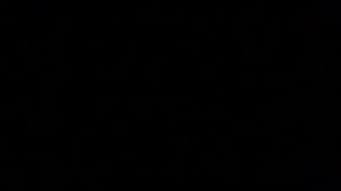 Elle online show from 29, 11, 2025