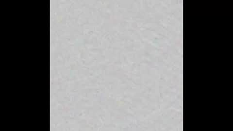 Margot online show from 24, 2, 2025