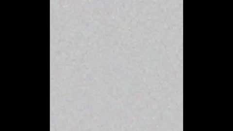 Margot online show from 4, 3, 2025