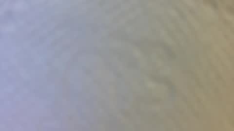 Maria Magdalena online show from 7, 4, 2026