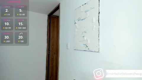 Snapshot of mariadanielasanchez chatting on 8, 9, 2025 mariadanielasanchez online show from 8, 9, 2025