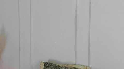 Maria Pettit online show from 19, 4, 2026