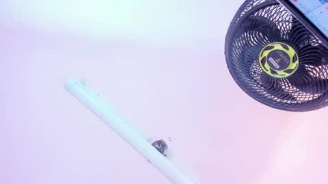 Marie online show from 15, 2, 2025