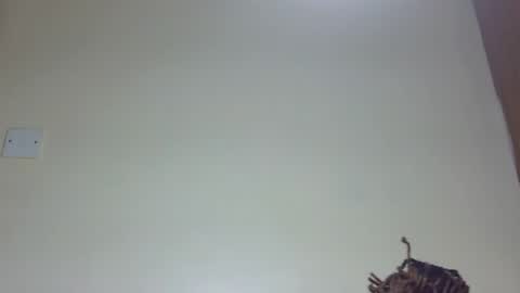 Marie online show from 26, 6, 2026