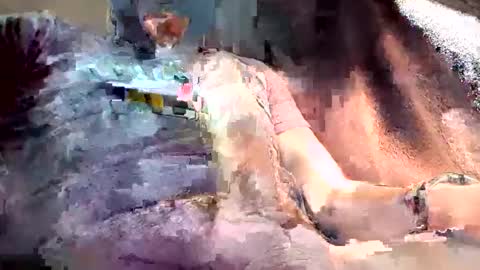 mark102839 online show from 13, 3, 2026