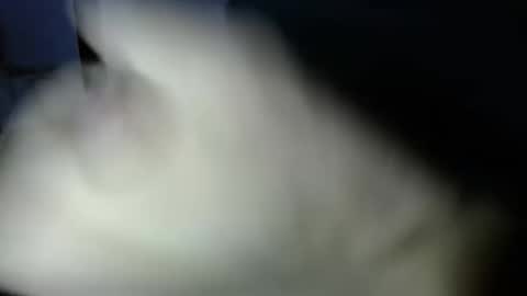 Snapshot of mark_270 chatting on 3, 4, 2026 mark_270 online show from 3, 4, 2026