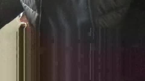 marklondonguy2023 online show from 13, 4, 2026