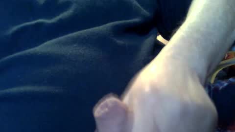 marko_th online show from 8, 2, 2026