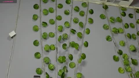 marly online show from 28, 2, 2025