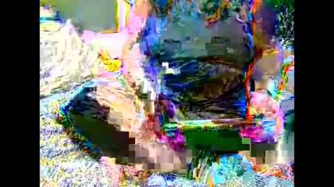 Snapshot of marthabriest chatting on 6, 11, 2025 Martha online show from 6, 11, 2025