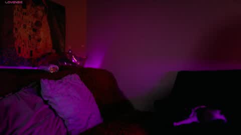     online show from 23, 7, 2026