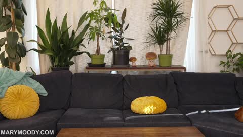 Mary Moody online show from 9, 3, 2026