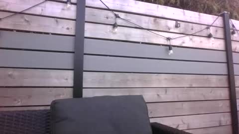 Masc39 online show from 18, 4, 2026