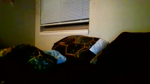 Snapshot of mastersquirter98 chatting on 12, 1, 2025 alex online show from 12, 1, 2025