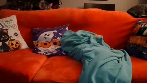 Snapshot of mastersquirter98 chatting on 20, 10, 2025 alex online show from 20, 10, 2025