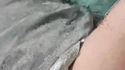 mathisdavid6757 online show from 22, 11, 2025