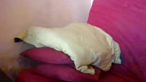 joyaam79 online show from 12, 4, 2026