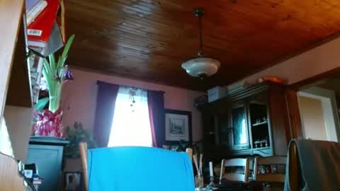 Snapshot of mauriceandre chatting on 15, 1, 2025 Maurice online show from 15, 1, 2025