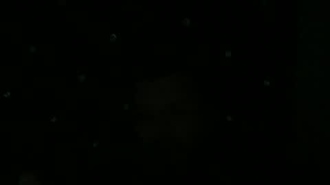 maurodcali online show from 1, 6, 2026