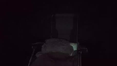 Snapshot of maximus_oreally chatting on 20, 1, 2025 Max online show from 20, 1, 2025