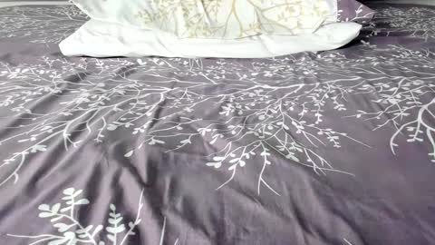 Maybelline69 online show from 20, 9, 2025