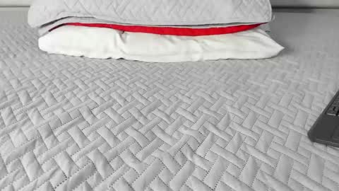 Maybelline69 online show from 13, 3, 2026