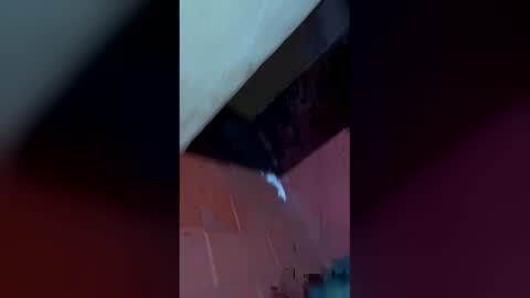 Snapshot of mckrns chatting on 30, 3, 2026 mckrns online show from 30, 3, 2026