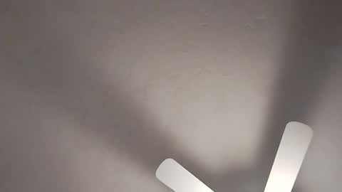 Snapshot of mcwire4 chatting on 19, 1, 2025 mcwire4 online show from 19, 1, 2025