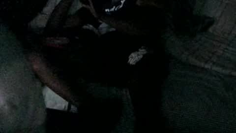 Snapshot of mdd2log chatting on 20, 3, 2026 mdd2log online show from 20, 3, 2026