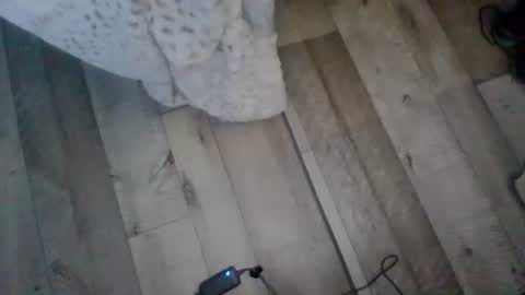 me_him_us_them online show from 19, 11, 2025