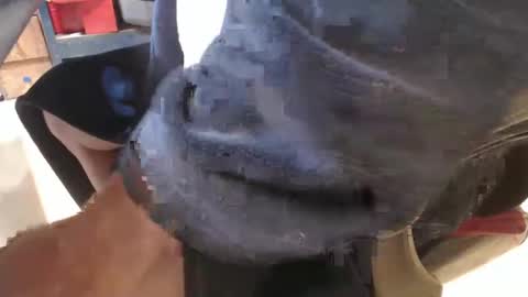 Snapshot of mee9090e900 chatting on 19, 9, 2025 mee9090e900 online show from 19, 9, 2025