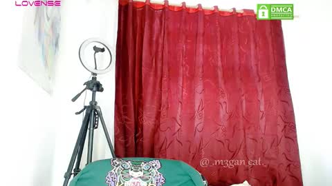 Snapshot of megan_cat chatting on 7, 11, 2025 megan_cat online show from 7, 11, 2025