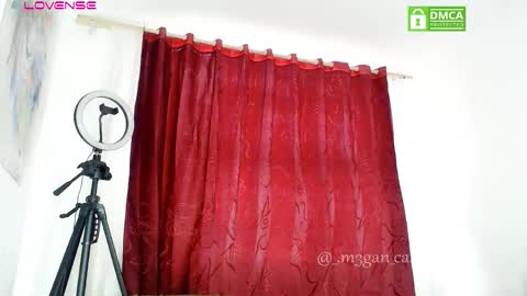 Snapshot of megan_cat chatting on 10, 11, 2025 megan_cat online show from 10, 11, 2025