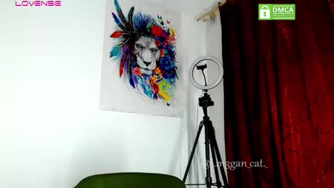 Snapshot of megan_cat chatting on 11, 11, 2025 megan_cat online show from 11, 11, 2025