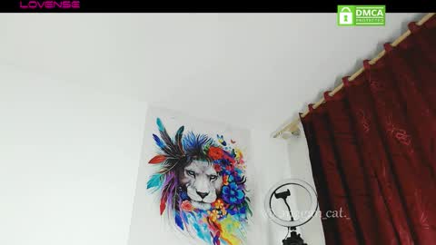 Snapshot of megan_cat chatting on 13, 11, 2025 megan_cat online show from 13, 11, 2025