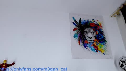 Snapshot of megan_cat chatting on 25, 11, 2025 megan_cat online show from 25, 11, 2025