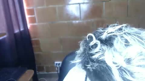 Megan and sophi online show from 7, 4, 2026