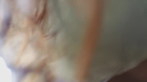 Megan online show from 18, 2, 2026