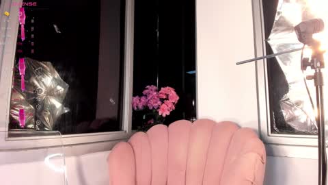 Snapshot of megann__sweet chatting on 13, 1, 2025 Mara online show from 13, 1, 2025