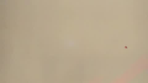 Snapshot of melanie__evans chatting on 12, 5, 2026 melanie__evans online show from 12, 5, 2026